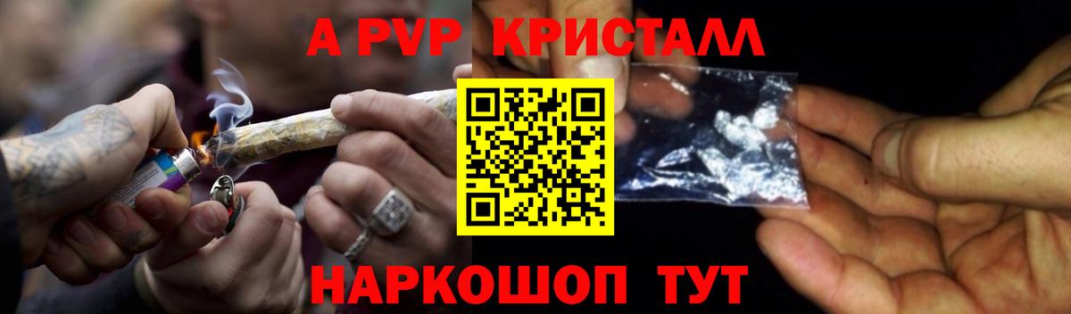 Alfa_PVP СК КРИС Минеральные Воды