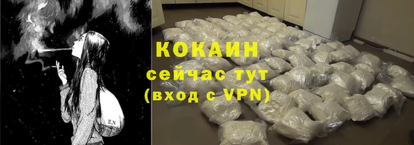 крисы Корсаков