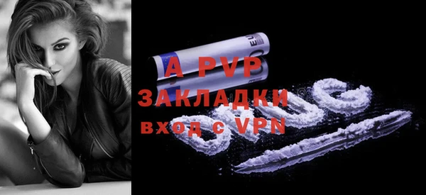 крисы Корсаков