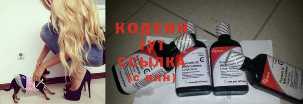 крисы Корсаков