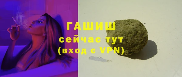 крисы Корсаков