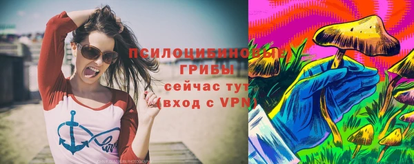 крисы Корсаков