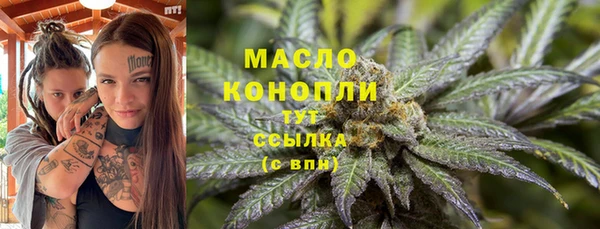 крисы Корсаков