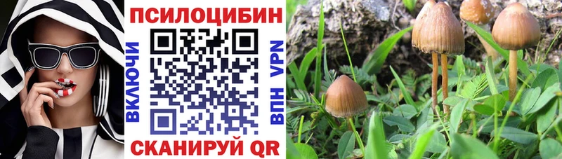 Псилоцибиновые грибы MAGIC MUSHROOMS  наркота  Минеральные Воды 