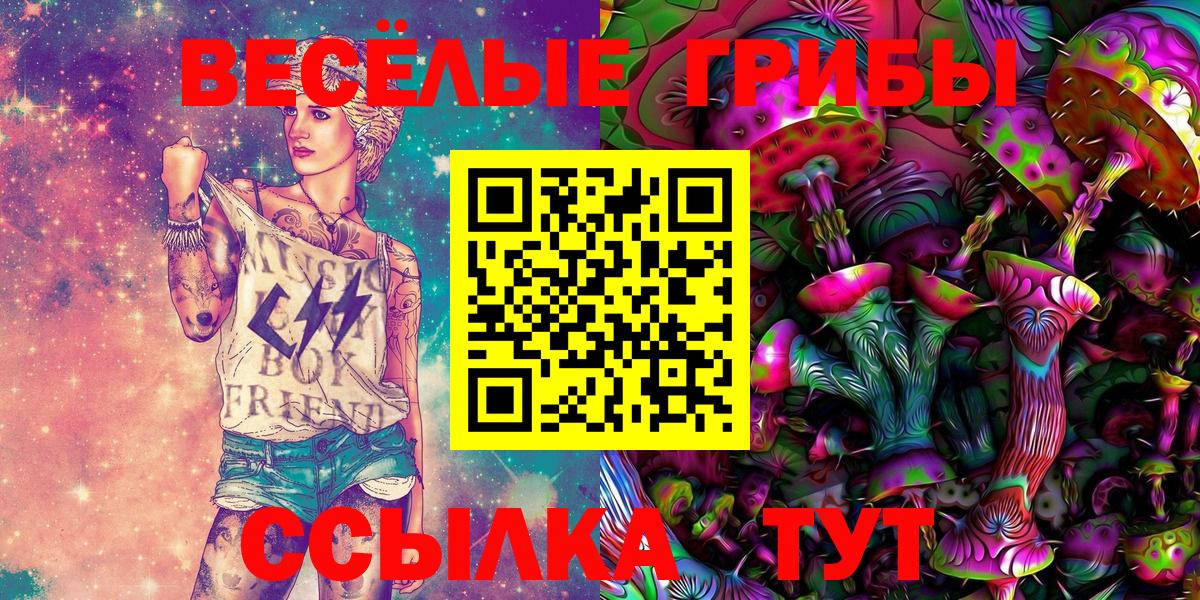 Псилоцибиновые грибы Cubensis  Вход с VPN  купить  сайты  Минеральные Воды 