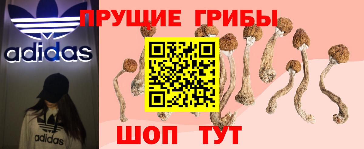 Галлюциногенные грибы GOLDEN TEACHER Минеральные Воды